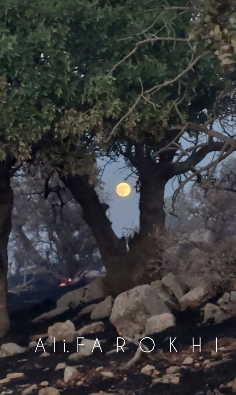 هم سوزی_زمین_و_ماه