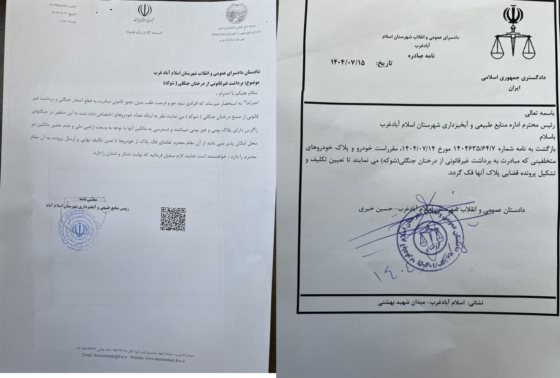 هشدار جدی درباره برداشت غیرمجاز گیاه «شوکه» در شهرستان اسلام‌آباد غرب